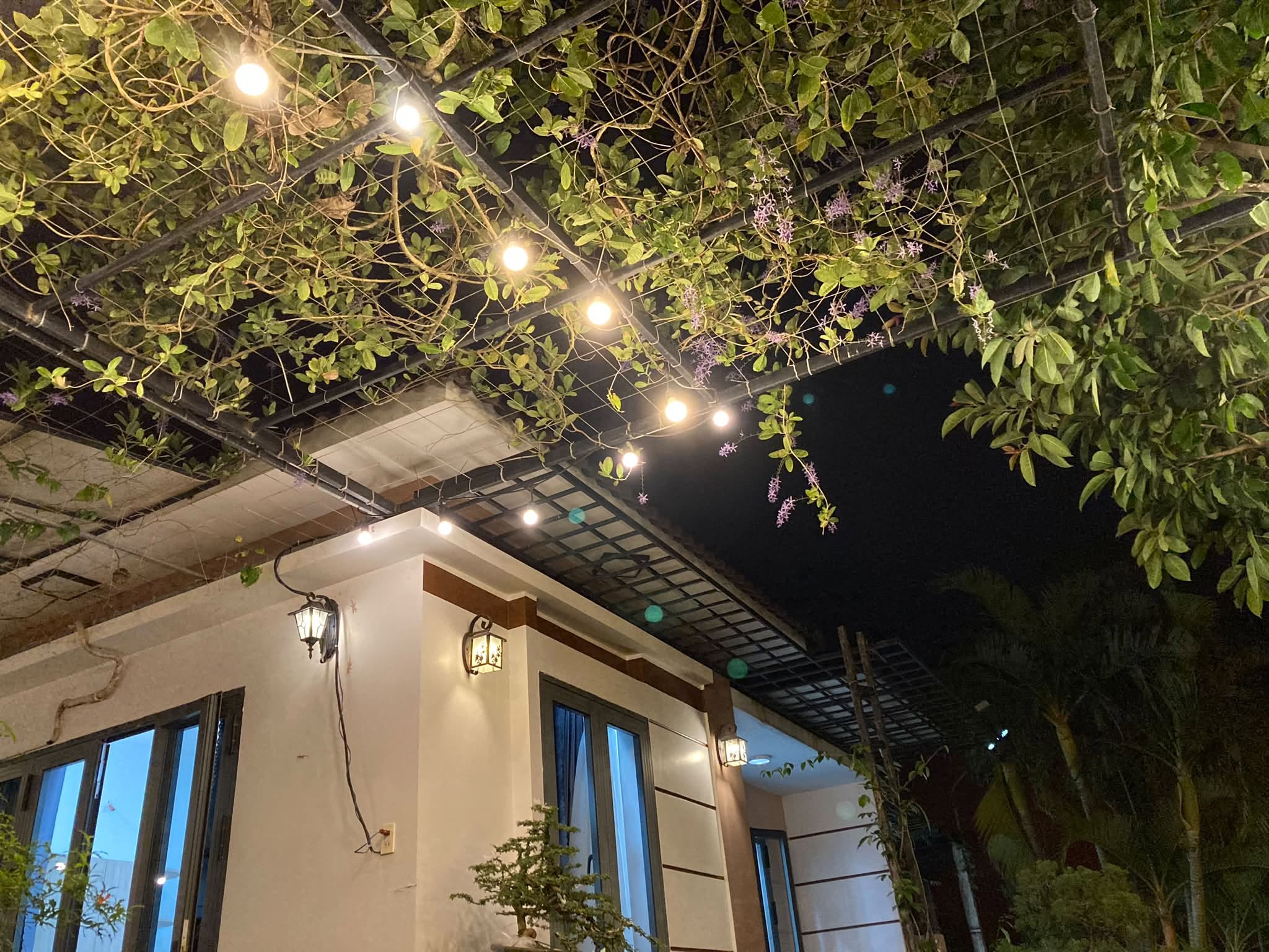 Dưới giàn hoa, nhà lên đèn