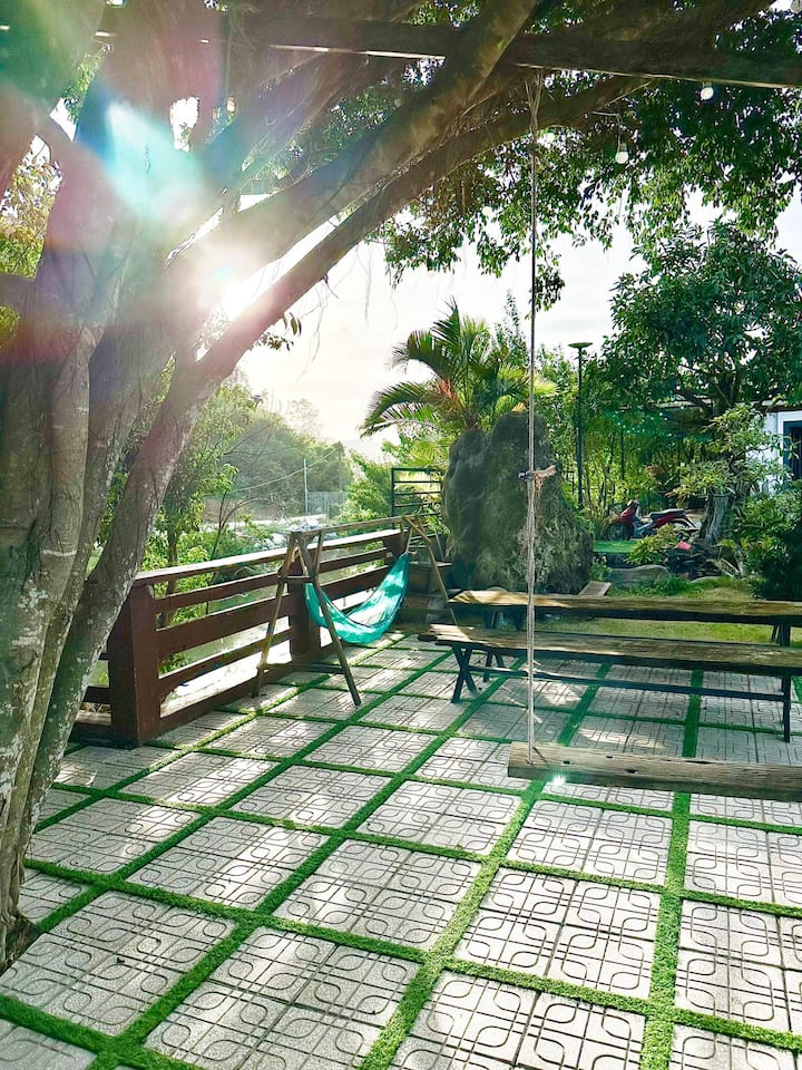 Nắng qua tán cây bên sông
