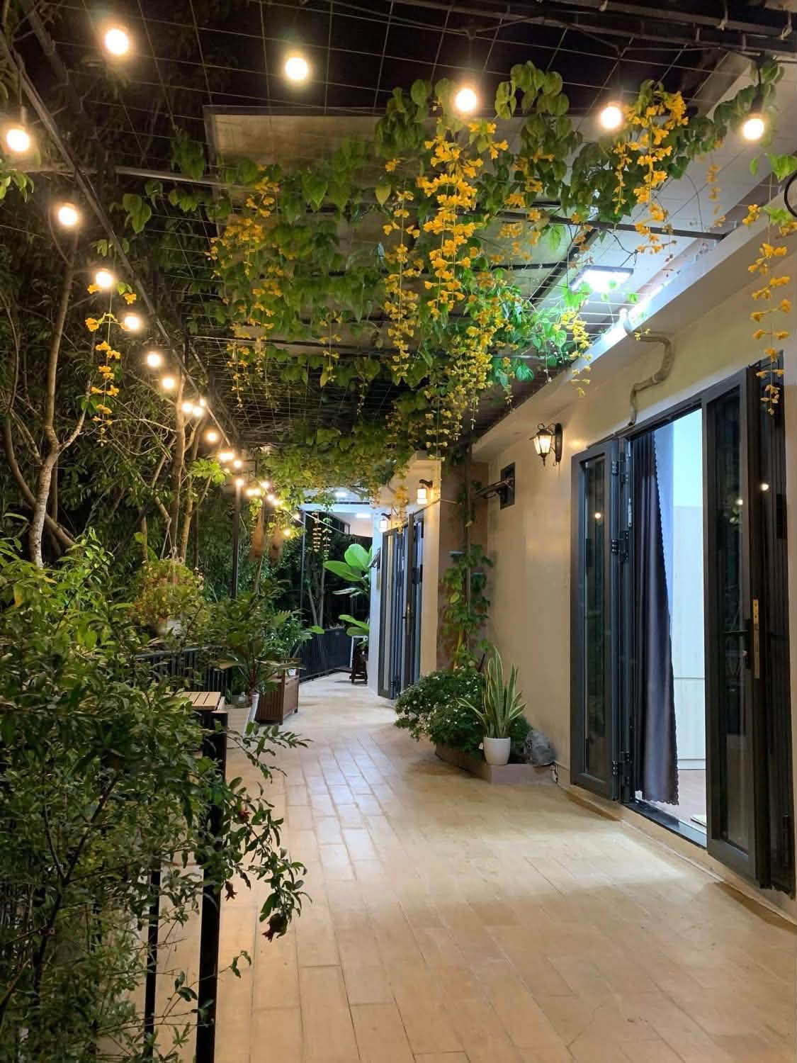 Hiên nhà lên đèn dưới giàn hoa