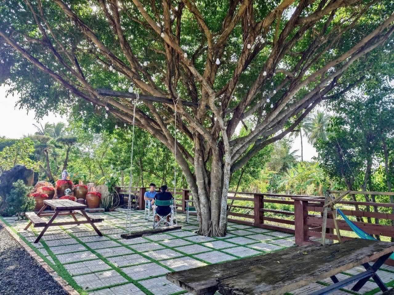 Tán cây lớn và khu vườn bên sông tại Saturday Homestay